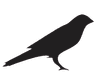 Kusama logo
