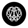 Big Brain Holdings logo